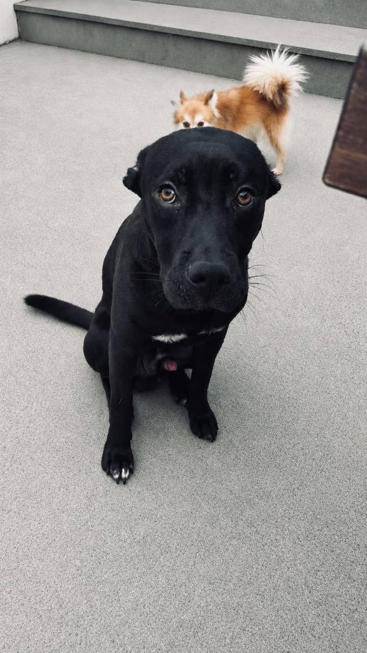 Aiko à 6 mois